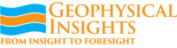 Geophysical Insights Paradise Customer Support Portal
